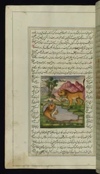 Ein böser Löwe, von einem Hasen getäuscht, schaut in einen Brunnen und sieht sein Spiegelbild aus 