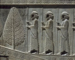 Wachen von Susa. Reliefs der östlichen Treppe der Apadana, 6. Jahrhundert v. Chr.