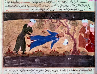 Geschichte der Mongolen: Der Tod von Muhammad Hwarazmshah. Manuskript 