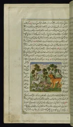 Löwe und andere Tiere aus Lichter von Canopus