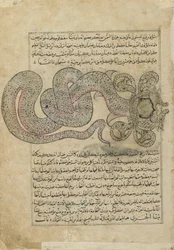 Die Seeschlange (al-Tannin), Folio aus Ajaib al-makhluqat (Wunder der Schöpfung) von al-Qazvini, Irak oder Osttürkei