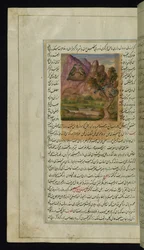 Zwei Falken und ein Krähennest aus 