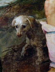 Hund, Detail aus der Geburt Christi, Gemälde von Pieter Candid oder Pieter de Witte (Detail)