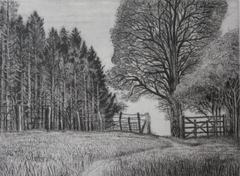 Der Waldweg - Frühling