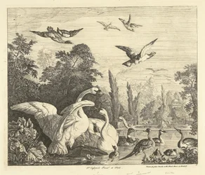 Schwäne und Enten in einem Vogelteich