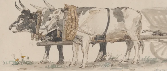 Zwei Ochsen ziehen einen Karren, 1874