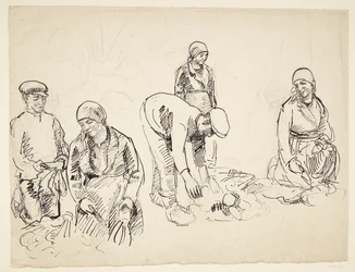 Rübenpflücker. Studienblatt