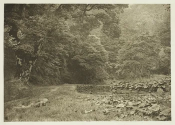 Eine ruhige Ecke in Beresford Dale