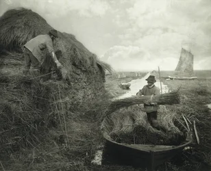 Ricking the Reed, ca. 1885 (Platinabzug)