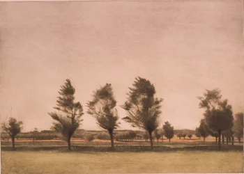 Landschaft von Falster