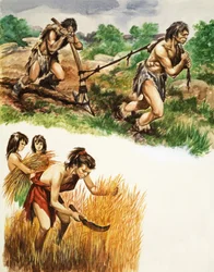 Landwirtschaft in der Steinzeit