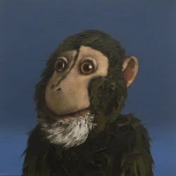 Andy Affe