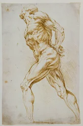 Anatomische Studie: Ein nackter Mann schreitet mit den Händen hinter dem Rücken nach rechts
