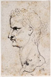 Gaius Caligula, nach den Medaillen von Giovanni da Cavino