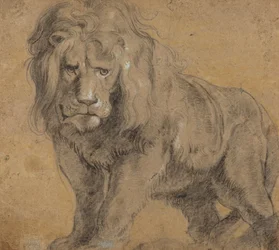 Löwe, ca. 1612-13