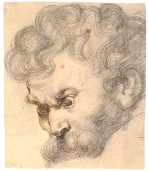 Studie zu „Samson und der Löwe“. Samsons Gesicht