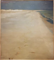Südstrand von Skagen