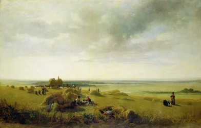 Ein Kornfeld