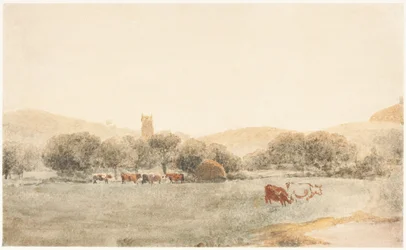 Eine Wiese mit Rindern bei Glastonbury