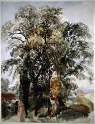 Bäume mit Bauerngebäuden in der Ferne