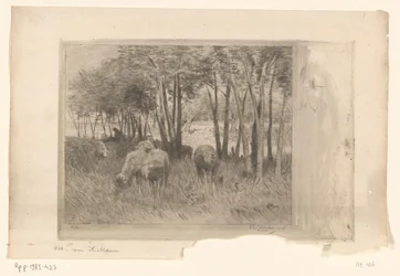 Schafherde und Hirte auf einer Wiese mit Bäumen