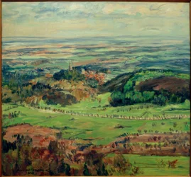 Blick in die Mainebene