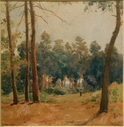 Waldlandschaft bei Hartmannshofen