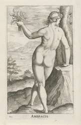 Wassernymphe Ambracia