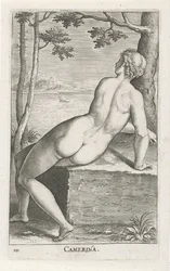 Wassernymphe Camerina