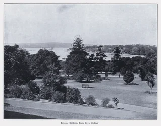 Botanische Gärten, Farm Cove, Sydney