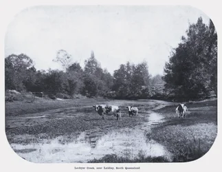 Lockyer Creek, nahe Laidley, Süd-Queensland