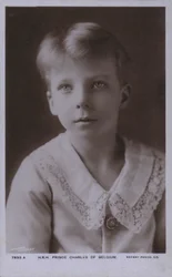 Prinz Charles von Belgien, Graf von Flandern