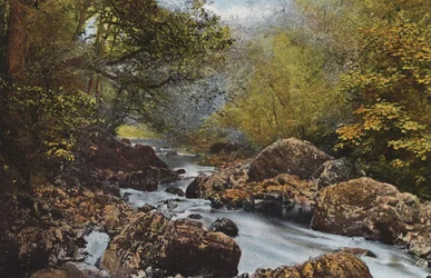 Irland: Im Dargle, County Wicklow