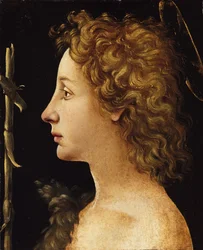 Der junge Heilige Johannes der Täufer (ca. 1480-82)