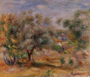 Olivenbaum in Les Collettes, ca. 1910-15