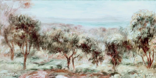 Landschaft, die Olivenbäume