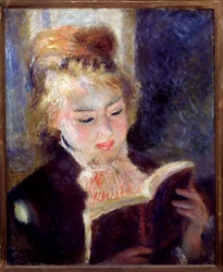 Der Leser
