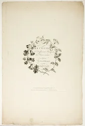Umschlag für Sammlung verschiedener Blumensträuße, erfunden und gezeichnet von Jean Pillement und graviert von P. C. Canot