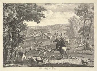Der Hirsch in der Enge
