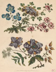 Zwei Sträuße imaginärer Blumen