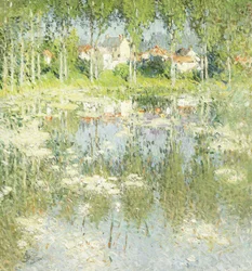 Sommerlandschaft