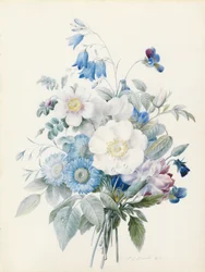 Blaue Astern, Rosa spinosissima (Hybrid), Glockenblume, Veilchen, Nelke und eine Wildrose