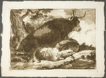 Ein Stier und zwei Schafe