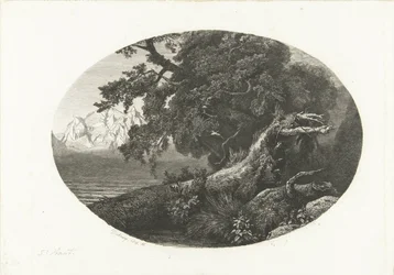 Entwurzelter Baumstamm an der Küste