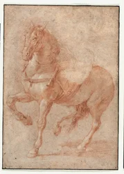 Studie von Bucephalus für das Relief "Alexander und Diogenes"