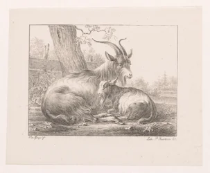 Bock und Ziege in Landschaft