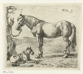 Pferd und Hund auf einer Weide Pferde (Serientitel)