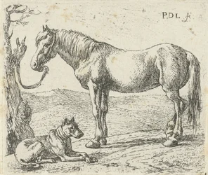 Pferd und Hund auf einer Weide