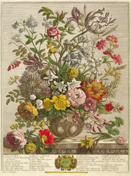 Mai, aus „Zwölf Monate der Blumen“ von Robert Furber (um 1674-1756), gestochen von Henry Fletcher