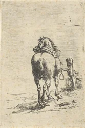 Gesatteltes Pferd an einem Pfahl